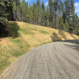 Approach- Cave Creek Road Bridge