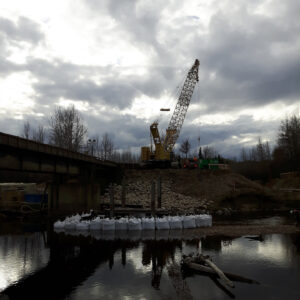 Bridge Craning