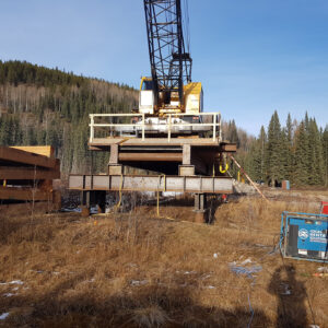 Crane- Ram River Bridge