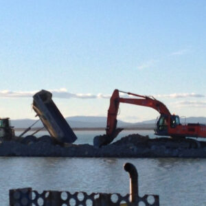 Excavator tailings