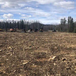 Main Earthworks Stockpile