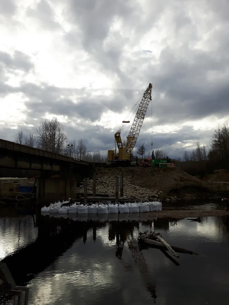 Bridge Craning