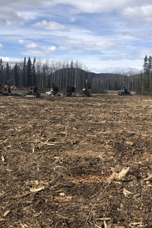 Area 4 Stockpile
