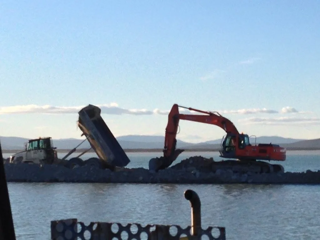 Excavator tailings